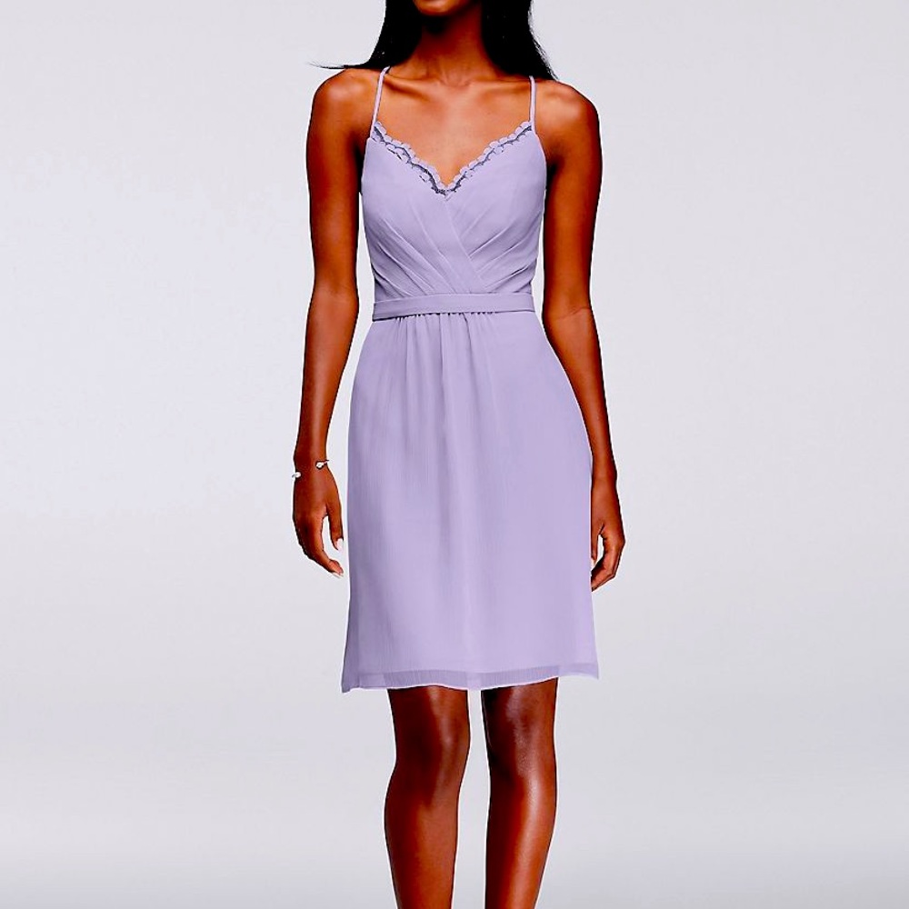 David’s Bridal Bridesmaid dress